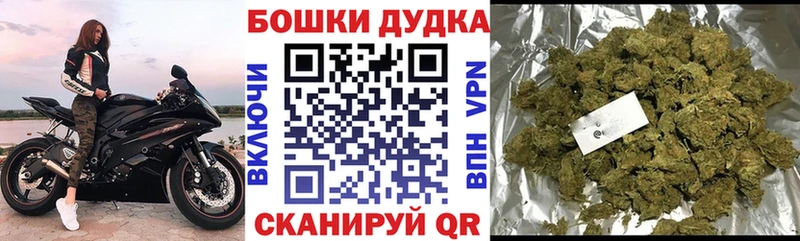 МАРИХУАНА сатива  мега ссылка  Солигалич 